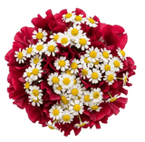 Fragrant Sweet Pea and Daisy Tanacetum Bouquet - Flowers Box London