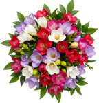 Fragrant Trio Freesias with Greenery Bouquet - Flowers Box London
