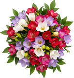 Fragrant Trio Freesias with Greenery Bouquet - Flowers Box London