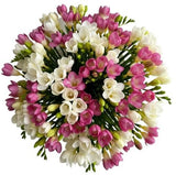 Fragrant White & Pink Freesias Bouquet - Flowers Box London