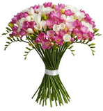 Fragrant White & Pink Freesias Bouquet - Flowers Box London
