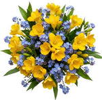 Freesias and Blue Frorget Me Not Bouquet - Flowers Box London