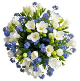Freesias and Blue Frorget Me Not Bouquet - Flowers Box London