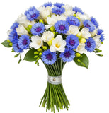 Freesias and Cornflowers Bouquet - Flowers Box London