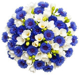 Freesias and Cornflowers Bouquet - Flowers Box London