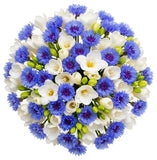 Freesias and Cornflowers Bouquet - Flowers Box London