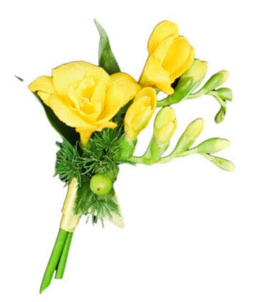 Freesias Buttonhole - Flowers Box London