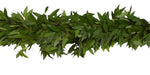 Fresh Bay Laurel Leaves Natural Garland - Flowers Box London