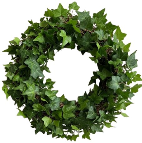 Fresh Green Hedera Wreath