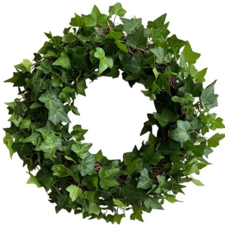 Fresh Green Hedera Wreath - Flowers Box London