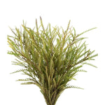 Fresh Grevillea Ivanhoe: Stunning Natural Decor for Your Space