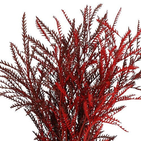 Fresh Grevillea Painted: Unique Floral Accent for Vibrant Arrangements - Flowers Box London