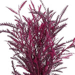 Fresh Grevillea Painted: Unique Floral Accent for Vibrant Arrangements