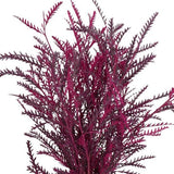 Fresh Grevillea Painted: Unique Floral Accent for Vibrant Arrangements