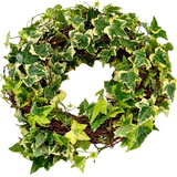Fresh Hedera Bont Wreath - Flowers Box London