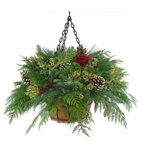 Fresh Mixed Greenery Festive Hanging Basket