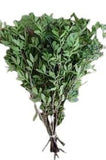 Fresh Pistacia Foliage | Perfect Greenery for Floral Arrangements - Flowers Box London