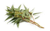 Fresh Robusta Berries: Lush Greenery for Elegant Floral Creations - Flowers Box London