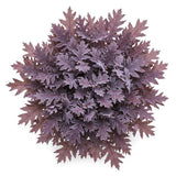 Frosted Pink Oak Leaves Bouquet - Flowers Box London