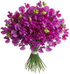Fuchsia Sweet Pea Bouquet