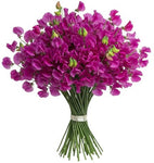 Fuchsia Sweet Pea Bouquet