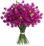 Fuchsia Sweet Pea Bouquet