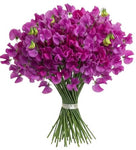 Fuchsia Sweet Pea Bouquet