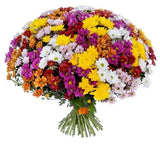 Full of Colour Chrysanthemum Bouquet - Flowers Box London