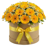 Gerbera with Daisy Tanacetum Elegant Box - Flowers Box London