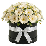 Gerbera with Daisy Tanacetum Elegant Box - Flowers Box London