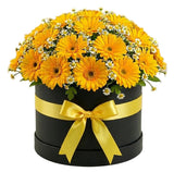 Gerbera with Daisy Tanacetum Elegant Box - Flowers Box London
