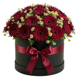 Gerbera with Daisy Tanacetum Elegant Box - Flowers Box London