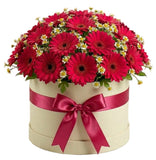 Gerbera with Daisy Tanacetum Elegant Box - Flowers Box London