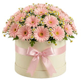 Gerbera with Daisy Tanacetum Elegant Box - Flowers Box London