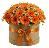 Gerbera with Daisy Tanacetum Elegant Box - Flowers Box London