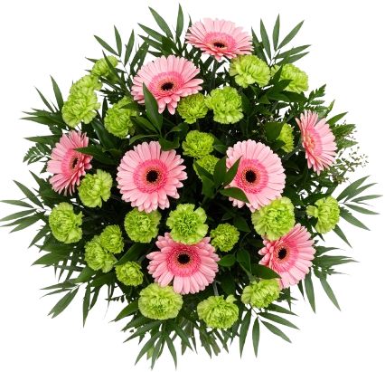 Gerberas with Green Carnations Bouquet
