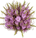 Gladiolus Grace & Willow Elegance Bouquet - Flowers Box London