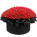 Glamour Box of Tulips - Flowers Box London