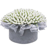 Glamour Box of Tulips - Flowers Box London