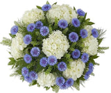 Gorgeous Bouquet of Hydrangea with Cornflowers - Flowers Box London