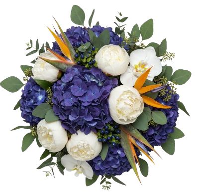 Gorgeous Bouquet of Hydrangea with White Peonies and Exotic Accent
