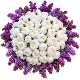 Gorgeous Bouquet of Peonies in Lilac - Flowers Box London