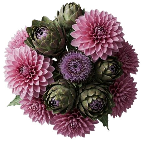 Gorgeous Bouquet of Pink Dahlia and Architoke