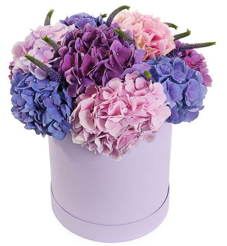 Gorgeous Box of Hydrangea with Blue Veronica
