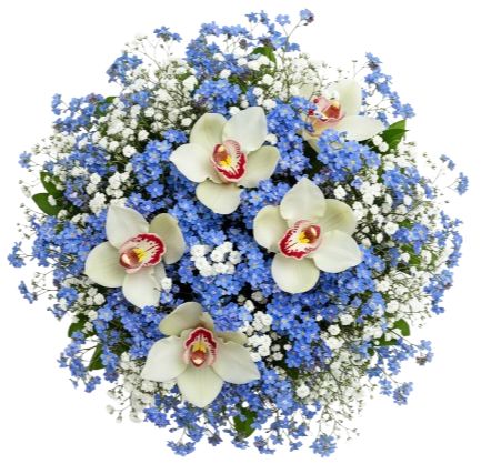 Gorgeous Buquet of Forget Me Not and Cymbidium Orchids