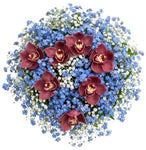 Gorgeous Buquet of Forget Me Not and Cymbidium Orchids