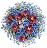 Gorgeous Buquet of Forget Me Not and Cymbidium Orchids