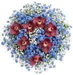 Gorgeous Buquet of Forget Me Not and Cymbidium Orchids - Flowers Box London