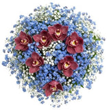 Gorgeous Buquet of Forget Me Not and Cymbidium Orchids - Flowers Box London