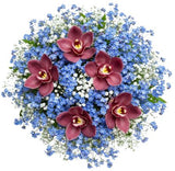 Gorgeous Buquet of Forget Me Not and Cymbidium Orchids